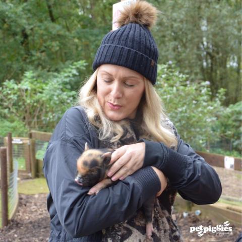 woburn-forest-pigzoo-baby-mini-pigs